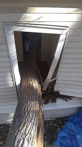 Tree service · open · 1 on yelp. Limber Tree Services Inc Home Facebook