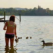 Splash Here Are 8 Lakes Near Zurich For Wild Swimming Olympic Size Pool Lake Swimming