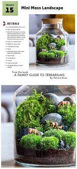 Terrarium Diy Project For Beginners Terrarium Garden Terrarium Tiny Plants