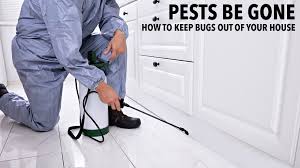 Sure, insects can appear to have otherworldly abilities — mosquitos can fly, cockroaches can. Pests Be Gone How To Keep Bugs Out Of Your House The Pinnacle List