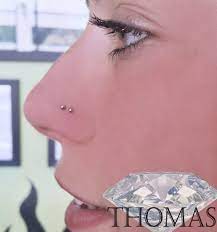 pin by beverley fletcher on piercings double nose piercing nose piercing stud different nose piercings