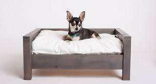 Do you know why elevated dog beds are great for sick, elderly dogs? Dog Gone Smart Introduces Completely Biodegradable Pet Bed