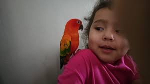 She needs a bigger sun spot. Cali Jane is dreaming for summer 😎