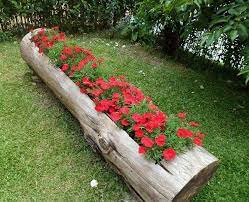 Check spelling or type a new query. Cum Sa Ti Decorezi Gradina Cu Flori Rapid Ieftin Si Spectaculos Idei Cu Efect Garantat