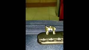 American tourister is a luggage brand name owned by . How To Open American Tourister Bag Locks Youtube