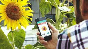 Application pour arroser ses plantes. Flower Power Une Appli Pour Savoir Quand Arroser Ses Plantes
