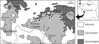 Pour obtenir un logement dans une r�sidence du crous, vous devez cr�er un dossier social etudiant (dse) l'�tudiant peut choisir parmi les 5 grands types de logement �tudiant: Stratigraphie Et Paleontologie Plantes Vertebres De La Serie Paralique Albien Terminal Cenomanien Basal De Tonnay Charente Charente Maritime France Sciencedirect