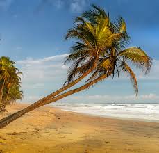 Ivory coast, also known as côte d'ivoire, officially the republic of côte d'ivoire, is a country located on the south coast of west africa.ivory coast's political capital is yamoussoukro in the centre of the country, while its economic capital and largest city is the port city of abidjan.it borders guinea to the northwest, liberia to the west, mali to the northwest, burkina faso to the. The 6 Things You Must Do In Ivory Coast Dpo Blog