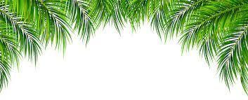 Palm Leaves Decor Png Clip Art Image Gallery Yopriceville High Quality Images And Transparent Png Free Clipart Palm Leaf Decor Leaf Decor Palm Leaves