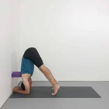 How To Do Sirsasana Headstand Step By Step Yoga Selection Headstand Yoga Poses Pictures Yoga Progress