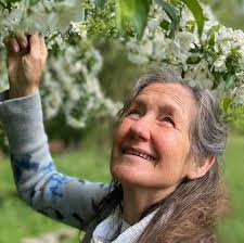 Lemon Mousse! This makes me feel like I'm having my favorite Ice cream  shop's lemon custard ice cream. Recipe: -mix 1/2c boiling water with 3oz  package of sugar free lemon jello -put