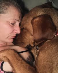 Fox Red Labrador Owners Sharing Experiences