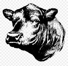 Vector graphics bull head stock illustrations bull head mascot this is an aggressive illustration of a bull head. Black Angus Bull Silhouette Clipart Black Angus Bull Head Silhouette Hd Png Download Vhv