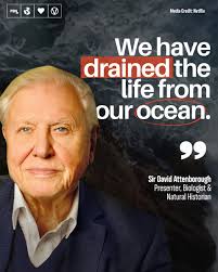 Jimmy Buffett's song Oceans of Time emotional impact