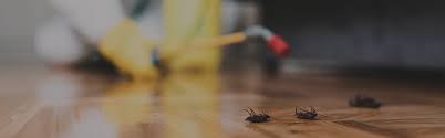 We can provide you and your family with safe indoor pest control services. Services Southwind Pest Termite