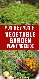 Month By Month Vegetable Garden Planting Guide Little