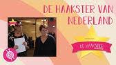 Ons Nieuwe Inspiratiecentrum Youtube Travel guide resource for your visit to zaltbommel. ons nieuwe inspiratiecentrum youtube