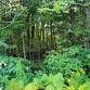 Open Practice: A Nature-based Long Weekend