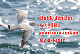 Balikla Ilgili Sozler Ve Balikla Ilgili Cok Guzel Atasozleri Hayvan Sozleri Balik Atasozleri