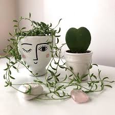 You don't want to bury the. Talk About A Bad Hair Day I Think Weekends Are Perfect For Bad Hair Strings Of Bananas Out Of Contr Plant Pot Decoration Plants Unique Plants