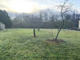 Achat Terrain Lencloitre 86140 A 24 000 6154424 En 2020 Vente Terrain Terrain A Batir Achat Terrain