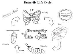 Discount Butterfly Growing Kit Free Butterfly Life Cycle Coloring Pages Life Cycles Butterfly Life Cycle Butterfly Coloring Page