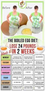 The Boiled Egg Diet Lose 24 Pounds In Just 2 Weeks Fitness Blog Egg Diet Boiled Egg Diet Boiled Egg Diet Plan