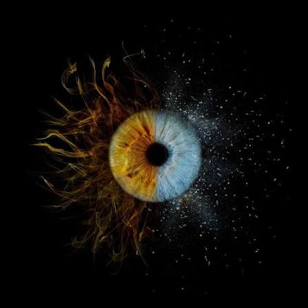 Custom iris fridge magnet