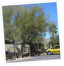 Maybe you would like to learn more about one of these? Barstow Calico Koa Camping In California Koa Campgrounds Koa Campgrounds Barstow Rv Parks And Campgrounds