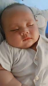 Instagram 用户 Maya Silvia Rianti