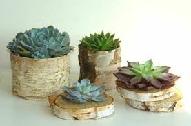 Diy Projekte Baumstamm Deko In Form Von Blumentopfen