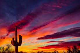 I filmed the entire 7.5 minutes of love like a sunset by phoenix when they played at fyf in los angeles. Phoenix Launches A Hub For The Circular Economy Greenbiz