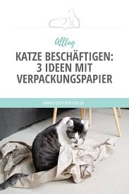 Katzen lieben spielangeln und wir haben für jede katze die passenden katzenangel. Katze Beschaftigen 3 Ideen Mit Verpackungspapier Alltag Katzen Beschaftigen Katzen Verpackungspapier
