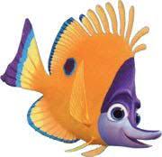 Los Animales De La Pelicula Buscando A Nemo Cienci En Taringa