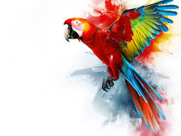 Image result for tbn:ED285OK8yRCGdM::www.hawanaajd.com/backgd/data/media/4/Wallpapers_-_Parrots_-_01.jpg