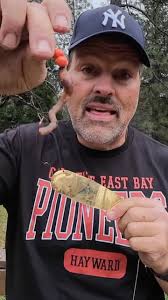 January fishing report from Cal Kellogg at Collins Lake., Cal breaks down  water conditions, what’s been working, and exactly what he’s using — the  kind of on-the-water insight you only get from time ...