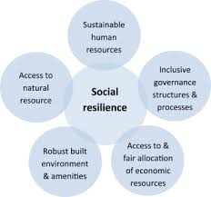 What Is Social Resilience Perspectives Of Disaster Researchers Emergency Management Practitioners And Policymakers In New Zealand Sciencedirect