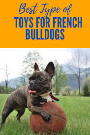 Check spelling or type a new query. Best Toys For French Bulldogs In 2021 French Bulldog Bulldog Toy Bulldog