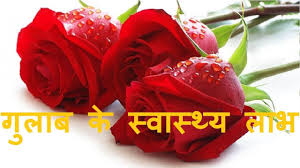 Pin On Flower