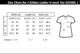 Gildan Softstyle 6300l V Neck For Women On Carousell