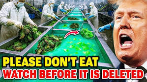 Clay Lancon's Instagram, Twitter & Facebook