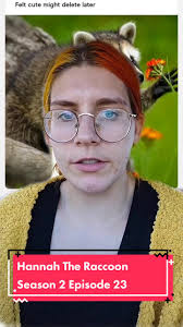 Hannah The Raccoon