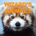 This mod will add more than 200+ new animals to minecraft; Wizard S Animals Mods Minecraft Curseforge
