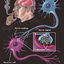 Berhenti secara bertahapjika kamu tidak bisa membendung keinginan untuk berhenti merokok, kamu bisa melakukannya secara bertahap. Saya Sudah Berhenti Merokok Secara Mendadak Rokok Rasa Hambar