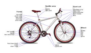 ⬤ flashcards exercise about body parts. List Of Bicycle Parts Wikipedia