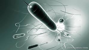 Diese werden vom bakterium clostridium botulinum gebildet. Botulismus Fleischvergiftung Infektion Symptome Therapie Netdoktor
