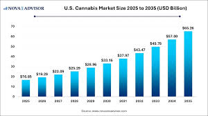 U.S. Cannabis Market Size to Reach USD 65.26 Billion by 2035