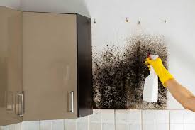 That said, a musty smell can be an early indicator of a mold problem. How To Get Rid Of A Musty Smell From Your House