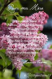 Bonne fête des pères à tous et à toutes. Bonne Fete A Toutes Les Mamans Tout Le Monde A Table