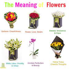 The Meaning Of Giving Flowers Flowers For Mom Flower Meanings Giving Flowers